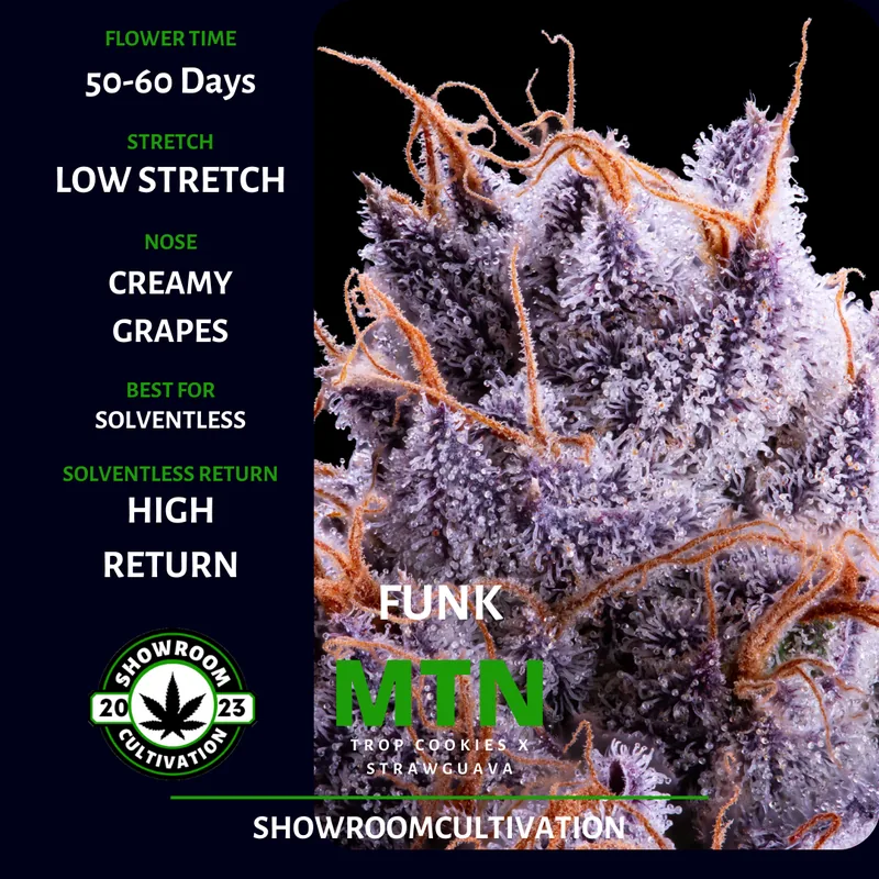 Funk MTN strain card from Showroom Cultivation